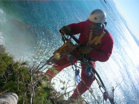 photo intervention jarnias